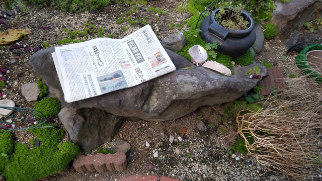 庭に石に座って朝日を浴びつつ新聞を読む
